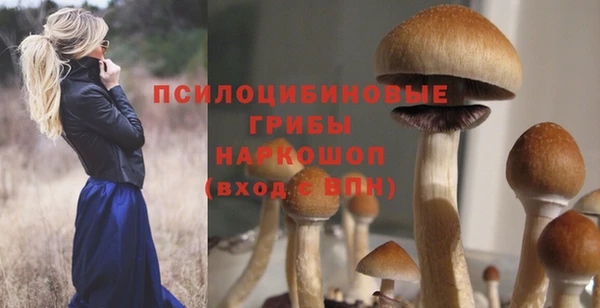 марки nbome Аркадак