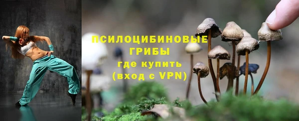 СК Балахна