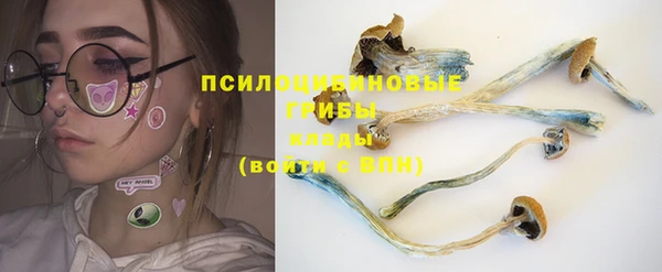 стаф Баксан