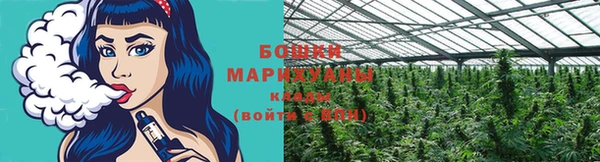 стаф Баксан
