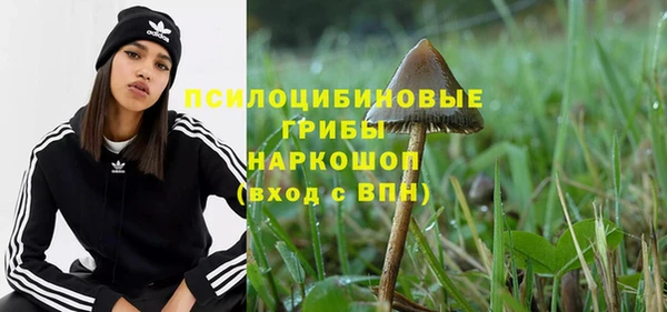 круглые Арсеньев